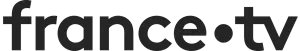 FRANCE TV LOGO